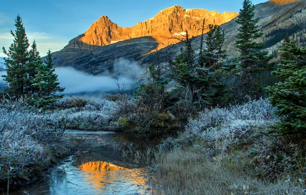Картинка иней, трава, деревья, туман, ручей, Канада, Banff National Park, кусты