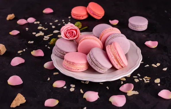 Роза, лепестки, cookies, macaron
