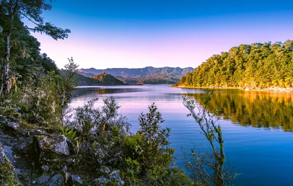 Картинка лес, озеро, отражение, рассвет, утро, Новая Зеландия, New Zealand, Lake Waikaremoana