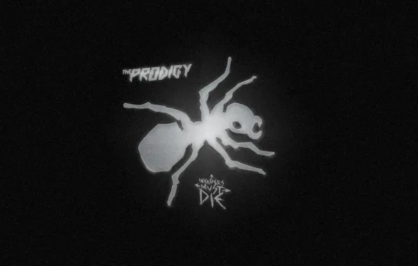 Music, The Prodigy, Ant