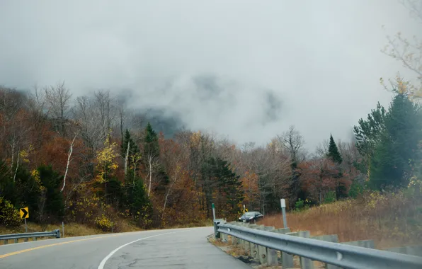 Картинка дорога, туман, Осень, road, autumn, fog, fall