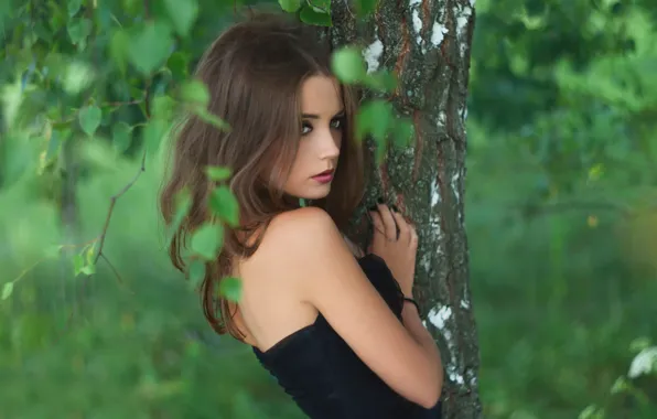 Природа, красавица, берёзка