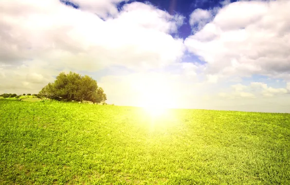 Картинка поле, лето, небо, трава, солнце, облака, пейзаж, природа