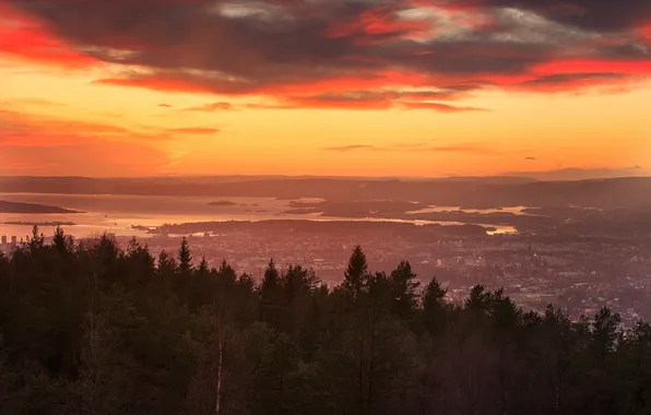 Небо, деревья, пейзаж, Норвегия, Осло