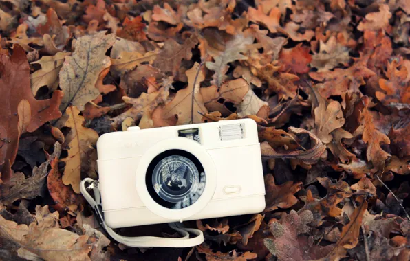 Картинка осень, белый, листья, камера, фотоаппарат