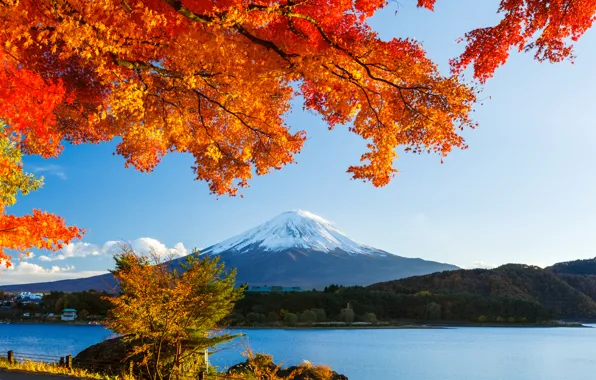 Картинка осень, лес, небо, листья, снег, деревья, озеро, япония