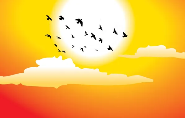 Картинка солнце, облака, птицы, векторная графика