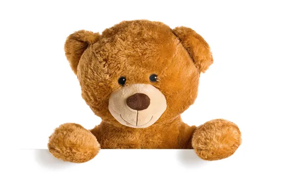 Картинка игрушка, мишка, плюшевый, toy, bear, cute, Teddy