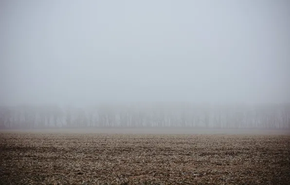 Картинка зима, поле, деревья, туман, день, Украина