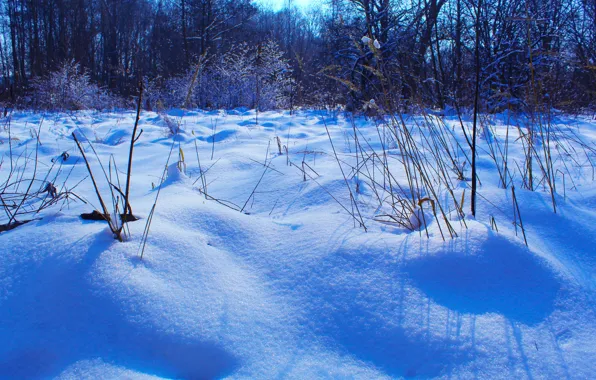Winter, snow, cold