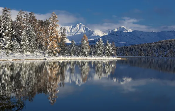 Картинка зима, деревья, горы, озеро, Алтай, фотограф Галина Хвостенко