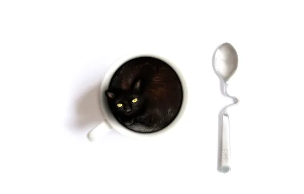 Картинка кошка, белый, фон, чашка, ложечка, содержимое