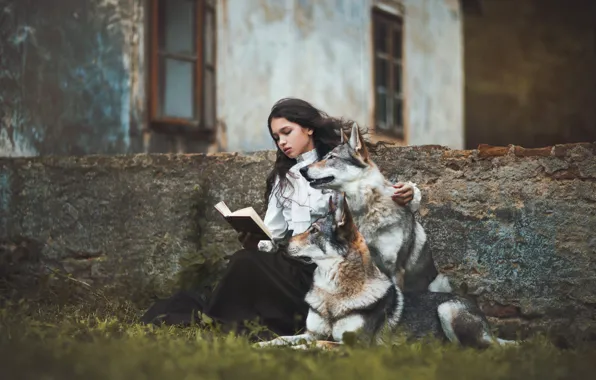 Собаки, девушка, дом, девочка, книга, волки, чтение, юная