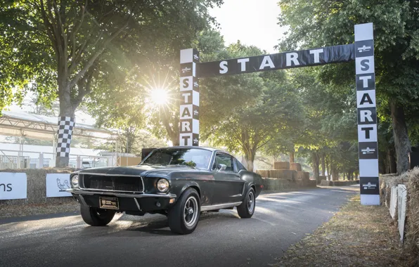 Картинка Ford, Fastback, 2018, 1968, Mustang GT, Bullitt, Goodwood