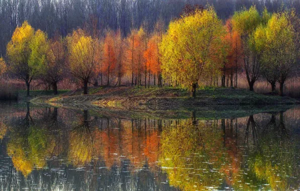 Отражения, деревья, природа, пруд, краски, Осень