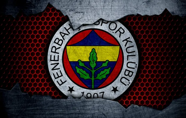 Wallpaper, sport, logo, football, Fenerbahce