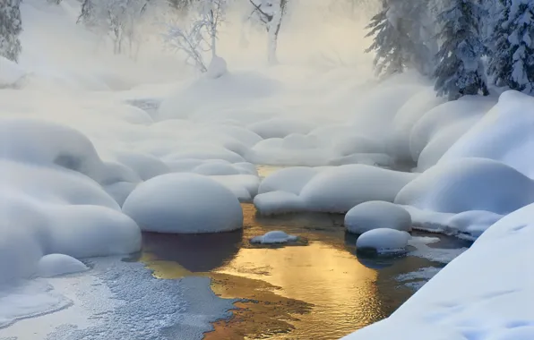 Картинка зима, лес, свет, снег, деревья, природа, река, дымка
