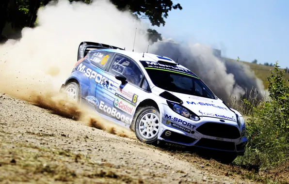 Картинка Ford, Пыль, Занос, WRC, Rally, Ралли, Fiesta, Poland