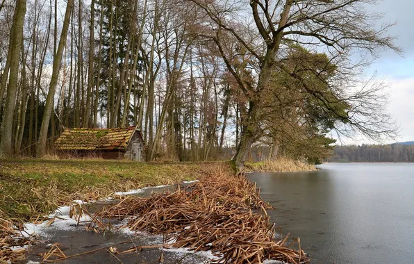 Озеро, дом, Germany, Bavaria, Teublitz
