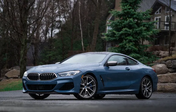 Картинка дождь, купе, BMW, 2018, 8-Series, 2019, бледно-синий, M850i xDrive