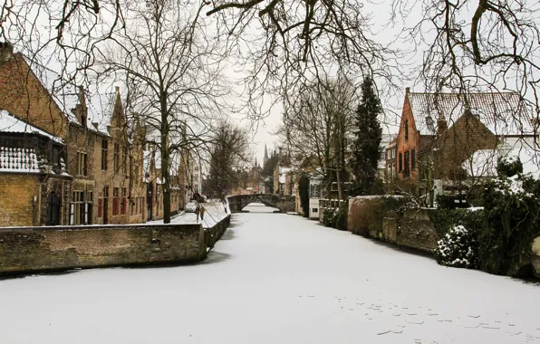 River, winter, Belgium, frozen, Brugge