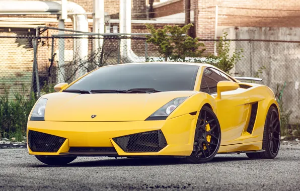 Жёлтый, Lamborghini, Gallardo, ламборджини, yellow, front, галлардо