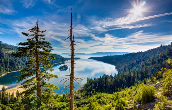 Картинка вид сверху, горы, деревья, озеро, Lake Tahoe, лес, облака, Тахо
