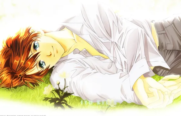Картинка Gakuen Heaven, аниме, арт, парень, Райская школа