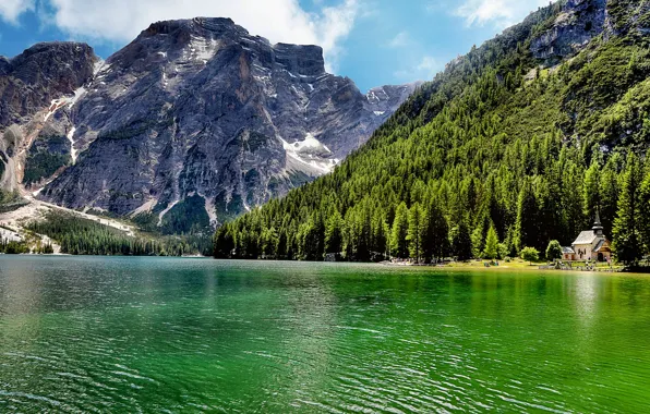 Картинка лес, деревья, пейзаж, горы, природа, озеро, Италия, Italy