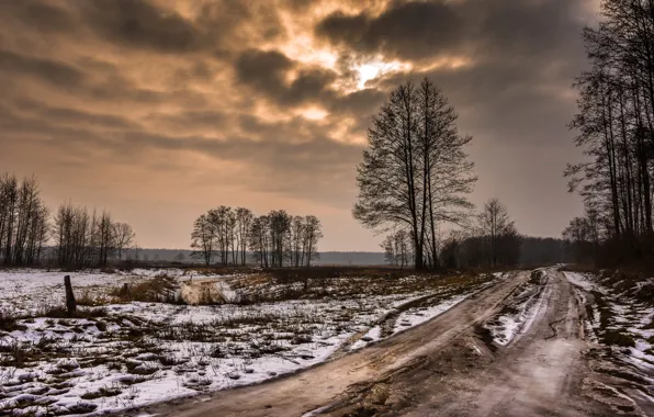 Картинка зима, дорога, поле, лес, небо, облака, снег, деревья