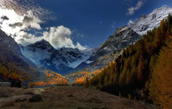 Осень, деревья, горы, долина, Альпы, Италия, Italy, Alps