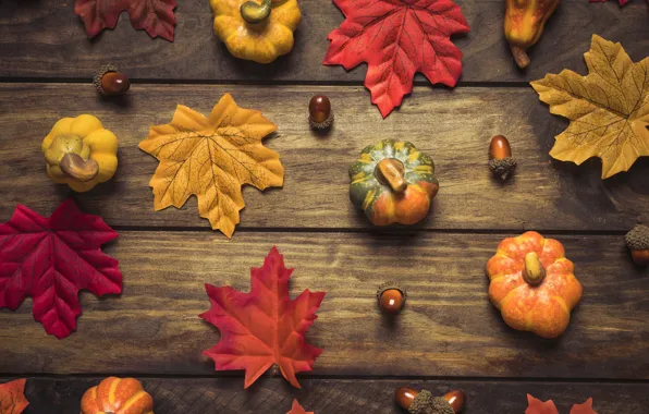 Осень, листья, фон, дерево, colorful, тыква, доска, wood