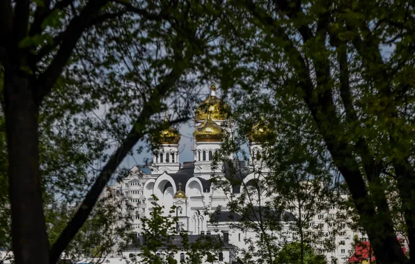 Город, храм, архитектура, купола