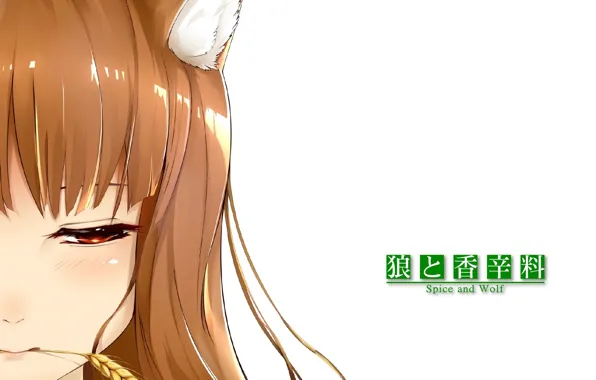 Лицо, белый фон, рыжая, ушки, spice and wolf, колосок, horo, челка