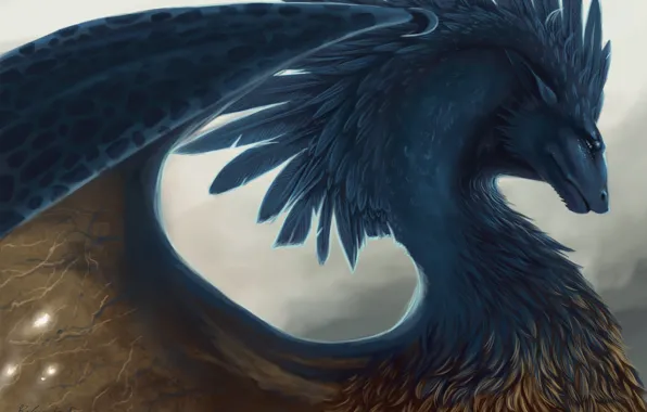Картинка дракон, перья, фэнтези, арт, Eragon