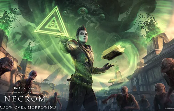 Эльфийка, Древние Свитки, The Elder Scrolls Online, Тень над Морровиндом, The Elder Scrolls Online - …