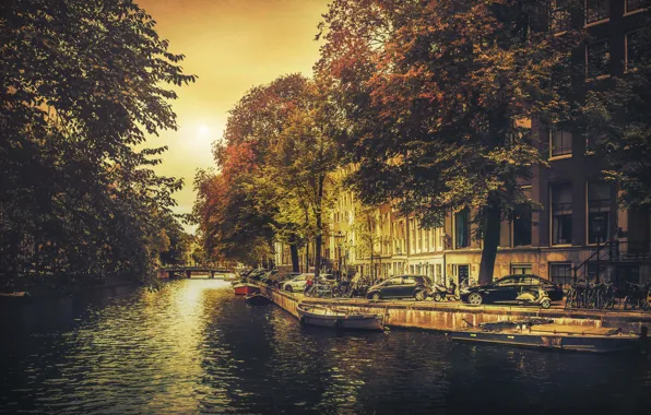 Trees, bridge, channel, Amsterdaam
