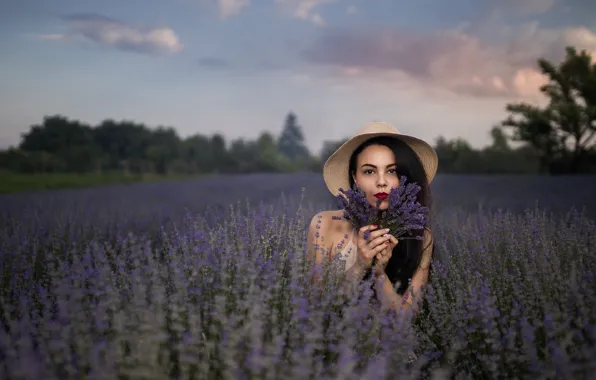 Картинка поле, девушка, цветы, природа, Andrea Carretta