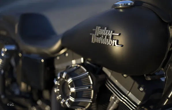 Картинка фон, мотоцикл, Harley Davidson