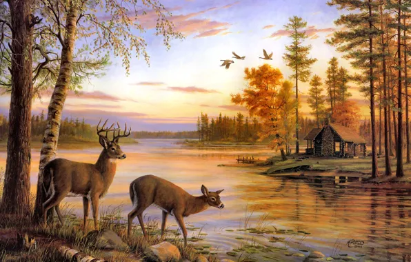 Картинка river, nature, painting, deer, Mary Pettis, birch, Quiet Evening