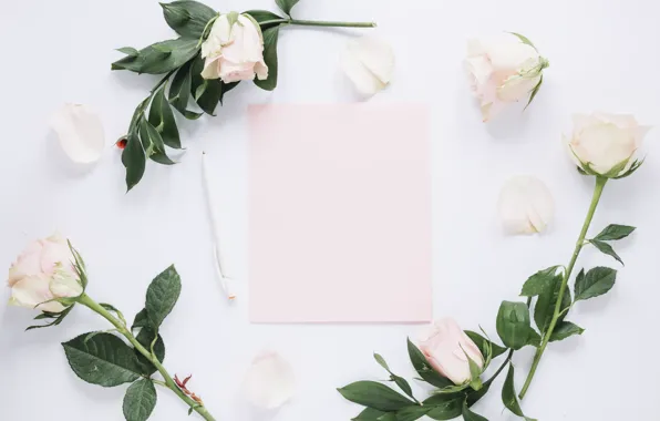 Цветы, бумага, ручка, белые, бутоны, Roses, декор, Leaves