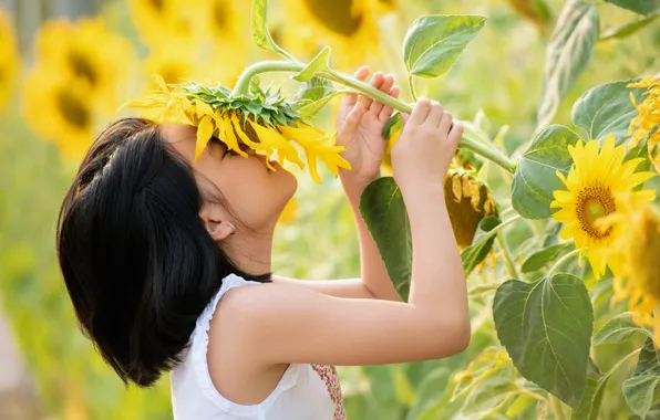 Картинка Природа, Лето, Волосы, Девочка, Подсолнухи, Nature, Summer, Маленькая девочка