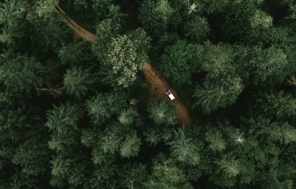 Дорога, car, машина, деревья, road, тайга, trees, вид сверху