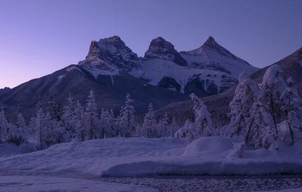 Картинка зима, снег, деревья, горы, вершины, ели, Канада, сугробы