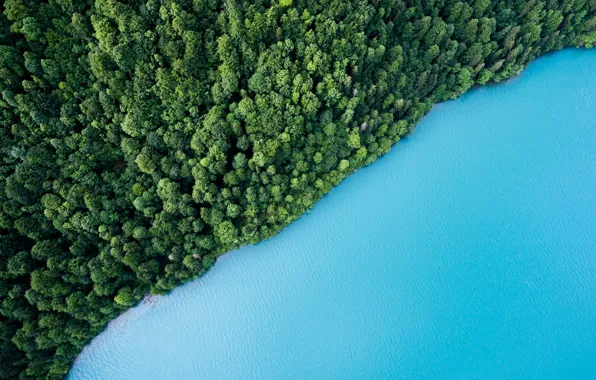 Картинка зелень, лес, вода, деревья, озеро, вид сверху, Beautiful Lake