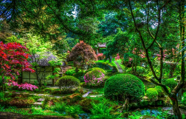 Деревья, цветы, пруд, парк, HDR, Япония, домик, кусты