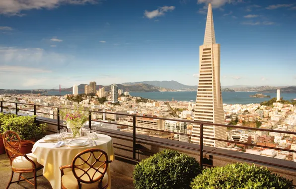 Цветы, стулья, Калифорния, Сан-Франциско, балкон, USA, США, столик