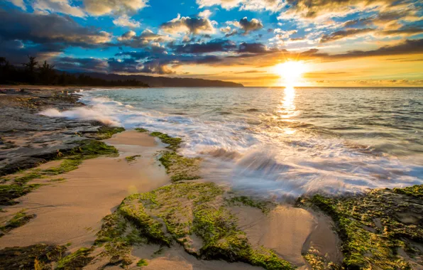 Картинка море, тропики, рассвет, побережье, Гавайи, США