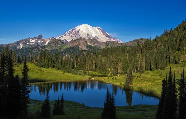 Картинка лес, деревья, горы, озеро, Mount Rainier National Park, Национальный парк Маунт-Рейнир, Mt Rainier, Каскадные горы