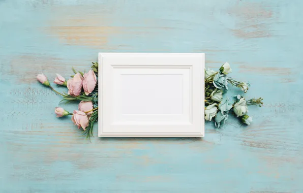 Цветы, фон, голубой, рамка, flower, wood, декор, букеты